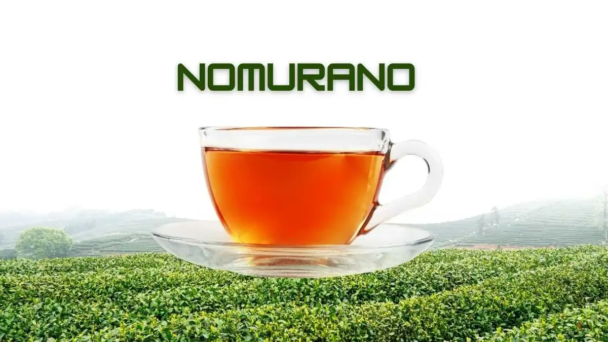 Nomurano