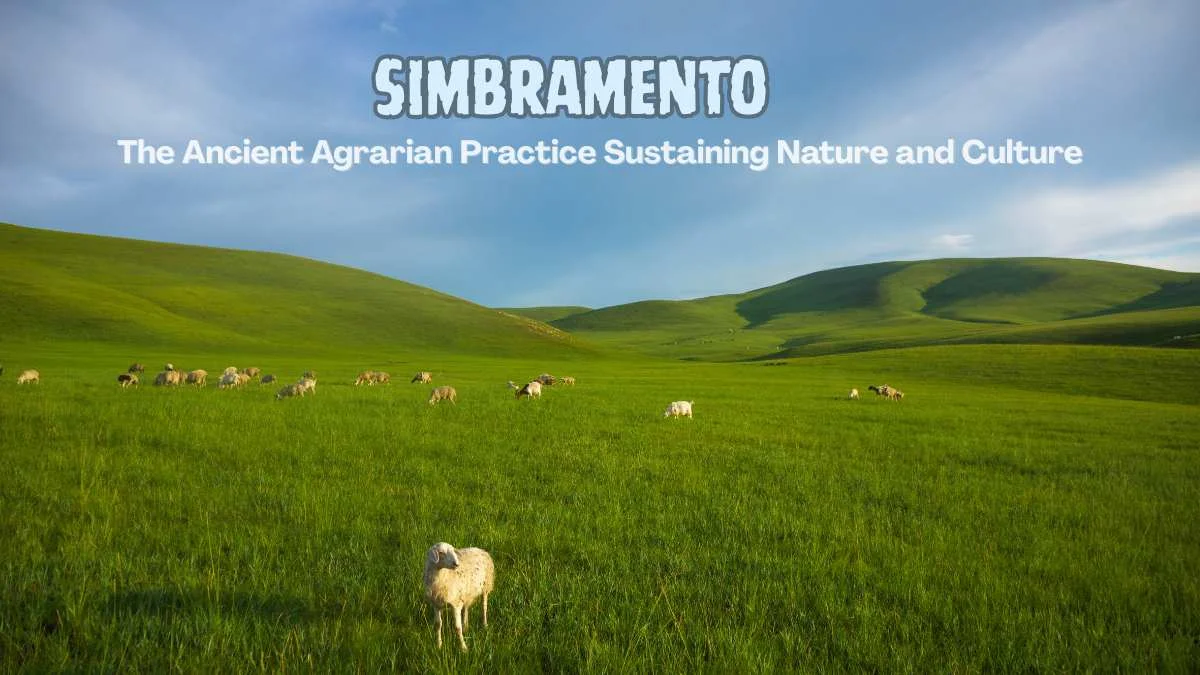 Simbramento: The Ancient Agrarian Practice Sustaining Nature and Culture