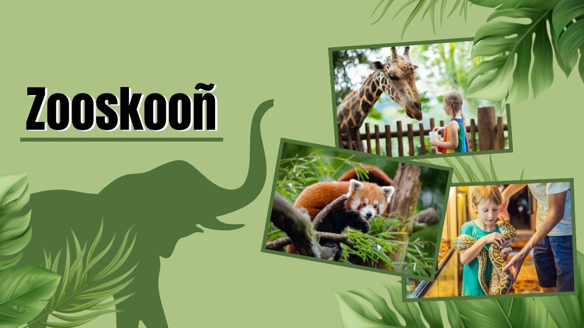 Zooskooñ
